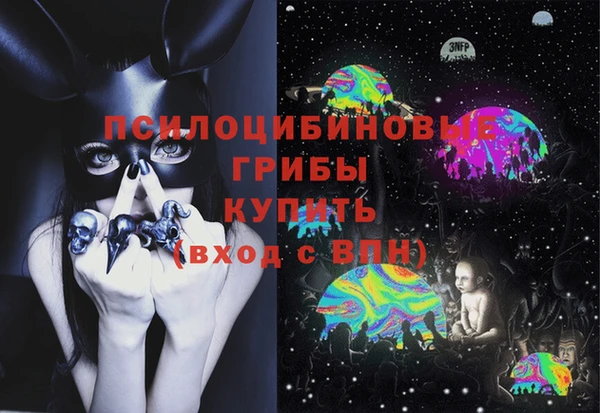 ПСИЛОЦИБИНОВЫЕ ГРИБЫ Абаза