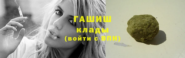 шишки Алексин