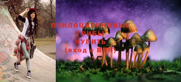 ПСИЛОЦИБИНОВЫЕ ГРИБЫ Абаза