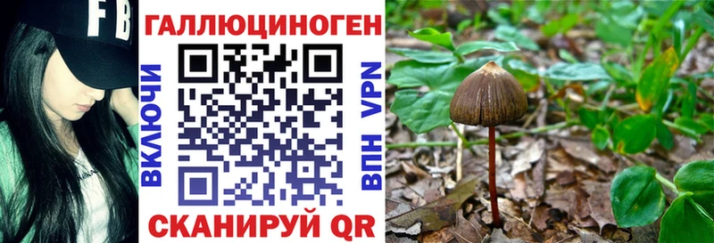 мега ONION Сергач Галлюциногенные грибы мухоморы наркотики